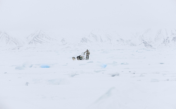 Jeger i Svalbards villmark